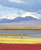 喬忠延：拜拜故鄉